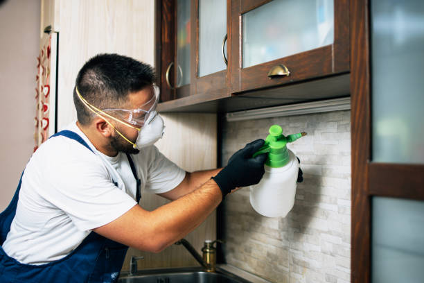 Best Ant Control Services  in Columbia, MD