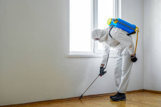Best Termite Control Services  in Columbia, MD