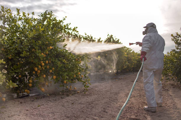 Best Mosquito Control Services  in Columbia, MD