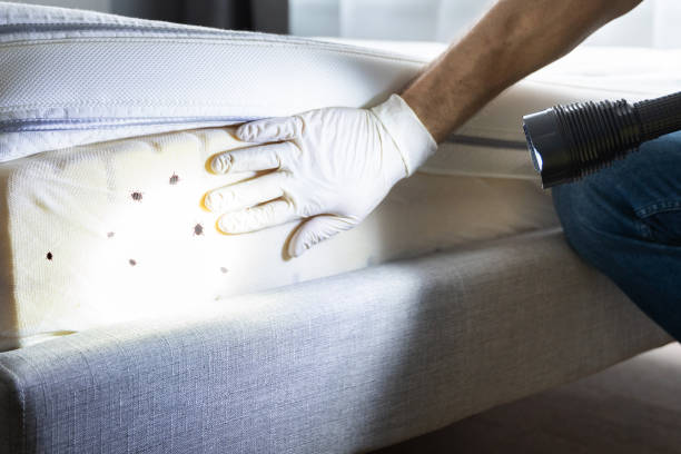 Pest Control for Restaurants in Columbia, MD
