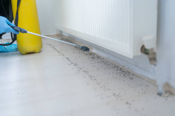 Best Best Pest Control Companies  in Columbia, MD