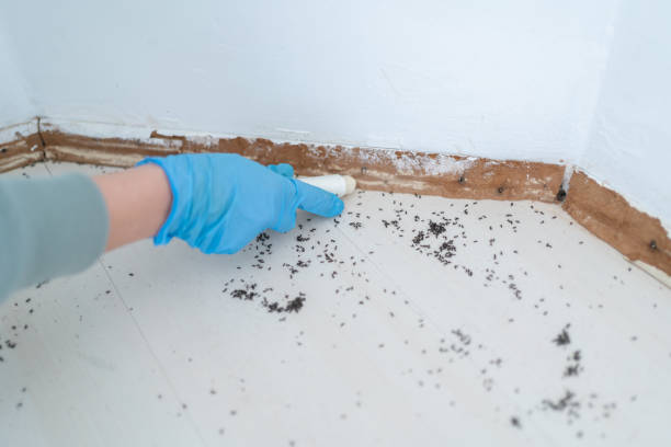 Best Wildlife Control Services  in Columbia, MD