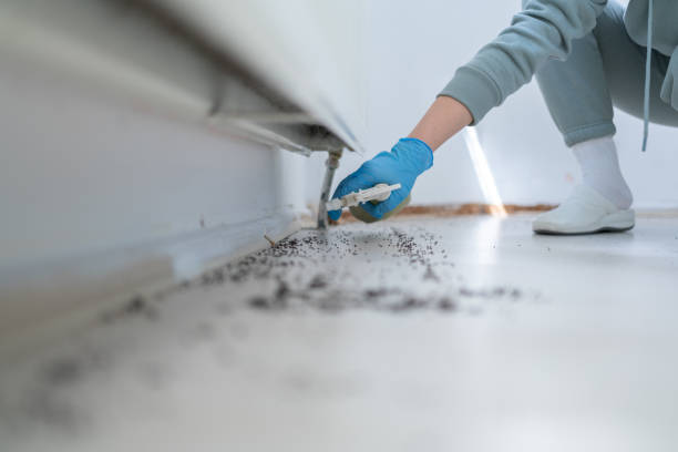 Best Local Pest Control Services  in Columbia, MD