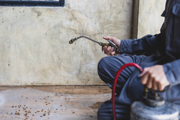 Best Pest Control Near Me  in Columbia, MD